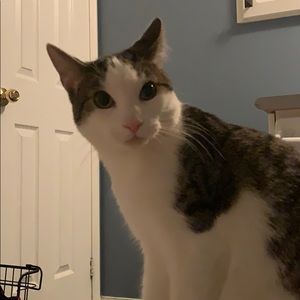 Meet your Posher, Gail